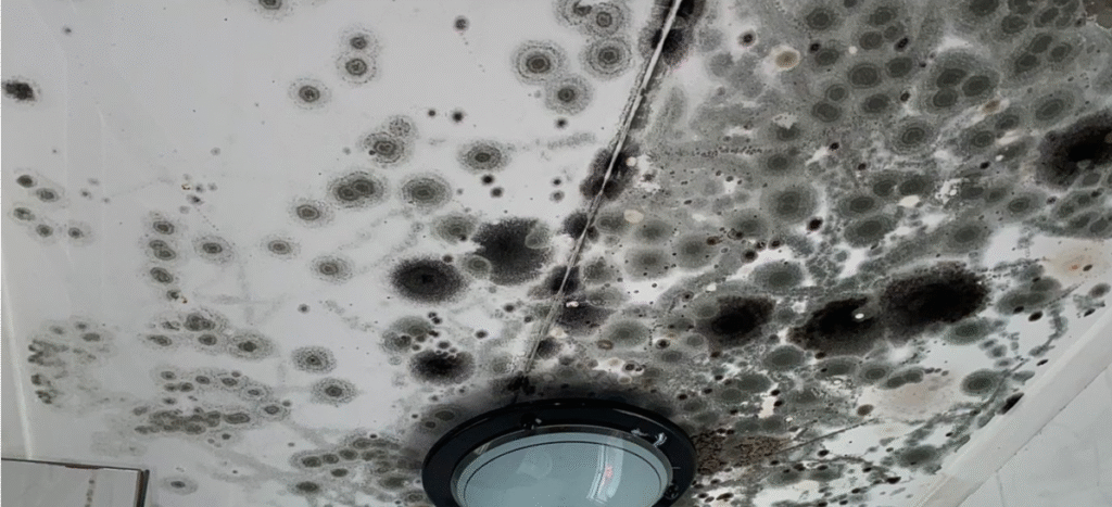 Waarom afsluiten water in winter chalet en stacravan